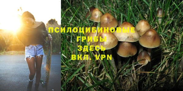соль ск Наволоки