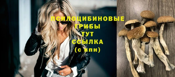 ECSTASY Надым