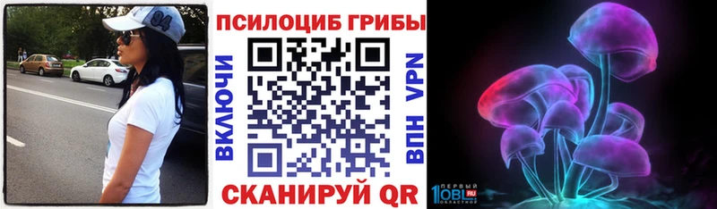 дарнет шоп  Нелидово  Галлюциногенные грибы MAGIC MUSHROOMS 